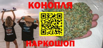 шишки Сертолово
