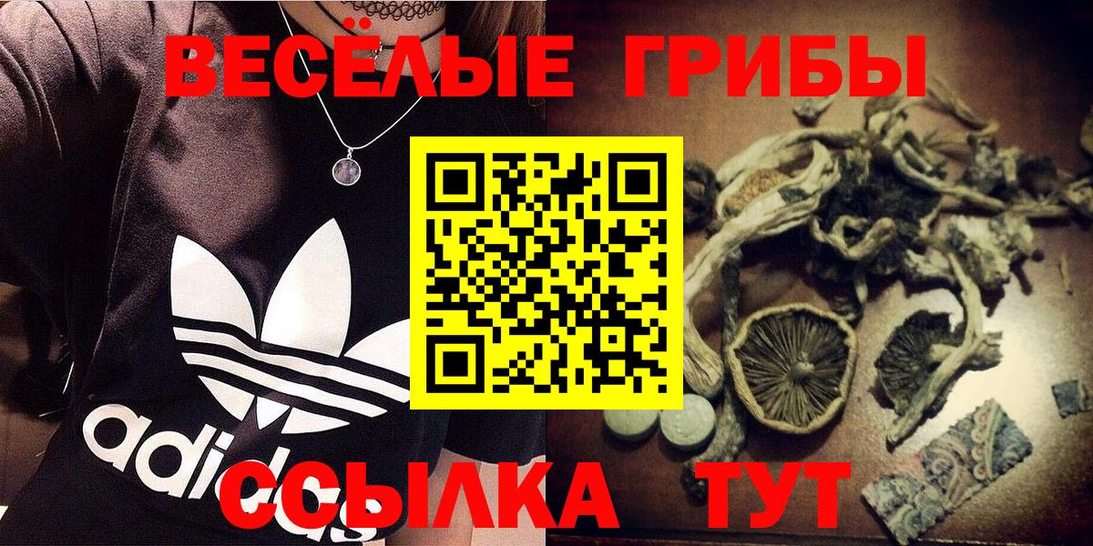Галлюциногенные грибы мухоморы Ачхой-Мартан